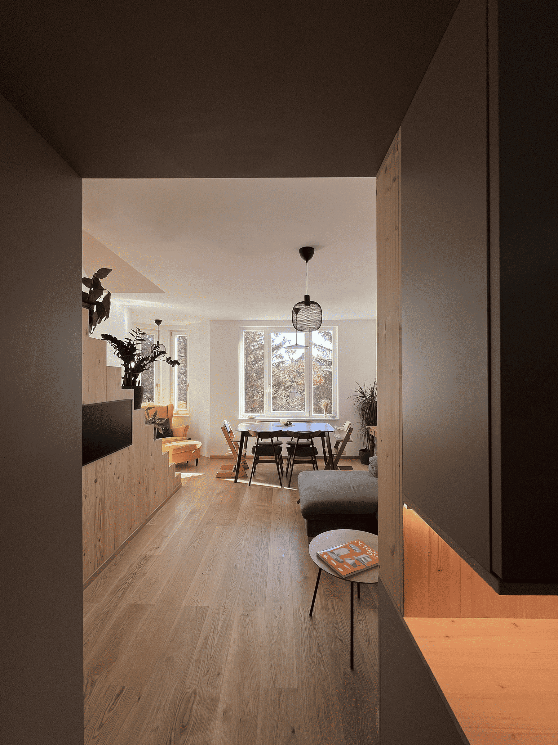 renovation of a compact appartment_equinox_livingroom