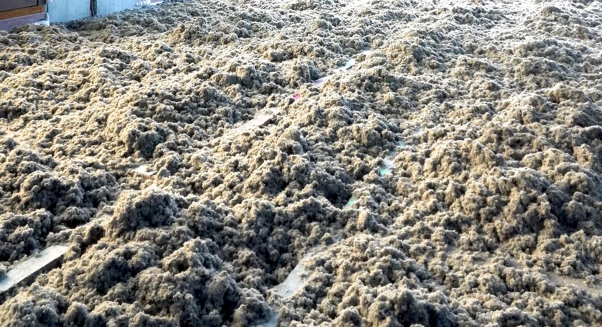 cellulóz szigetelés a földre fújva tömörítés előtt