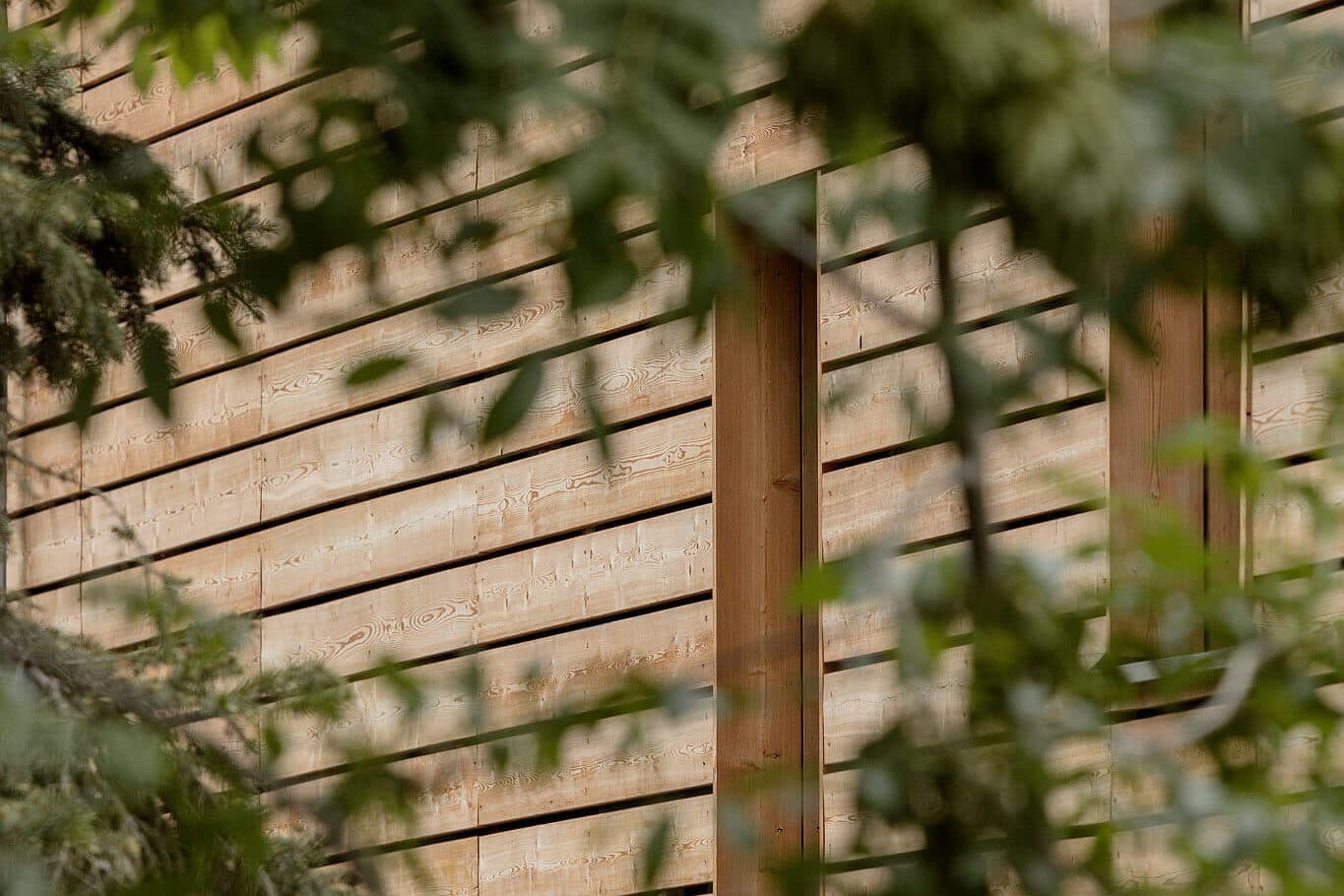 Julia CLT house wooden facade